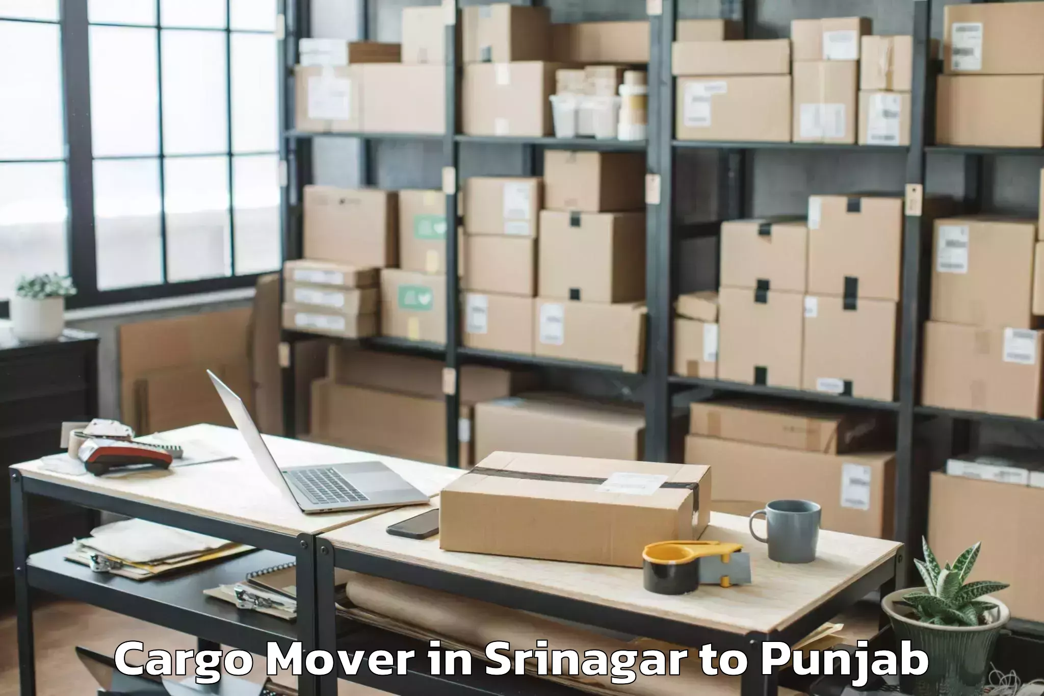 Book Srinagar to Ludhiana Cargo Mover Online